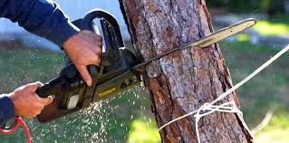 Best Pest Control for Lawns  in Desert Hot Springs, CA