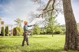 Best Lawn Mowing  in Desert Hot Springs, CA